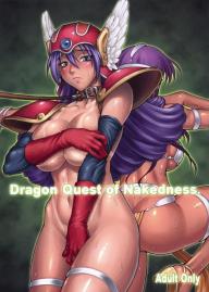 dq5 (2)